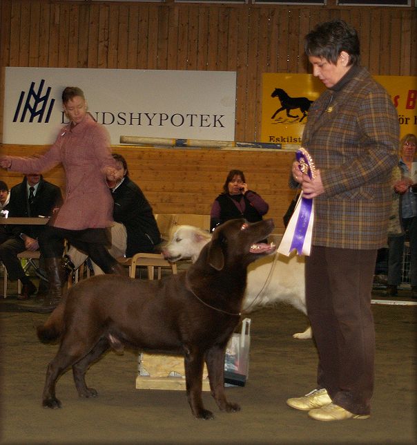 Bubbel almost 11 years winning BOB & BIS4 veteran